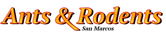 San Marcos Ant Exterminator & Rodent Control Company Logo